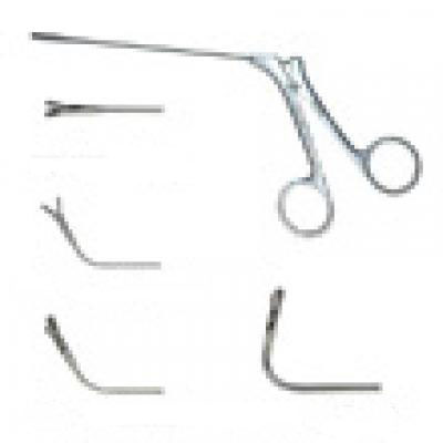 上海金鐘鼻取樣鉗14cm 管式角彎70°長(zhǎng)圓頭 豎開